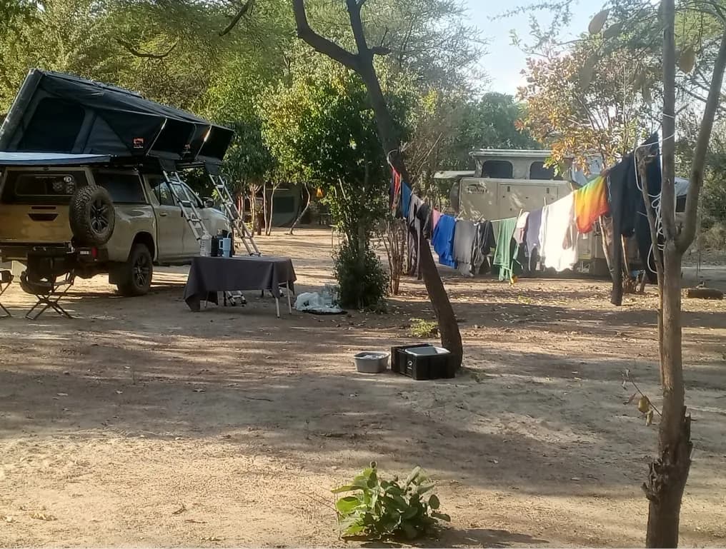 Pickup with a rooftop tent beside a washing line on the campsite