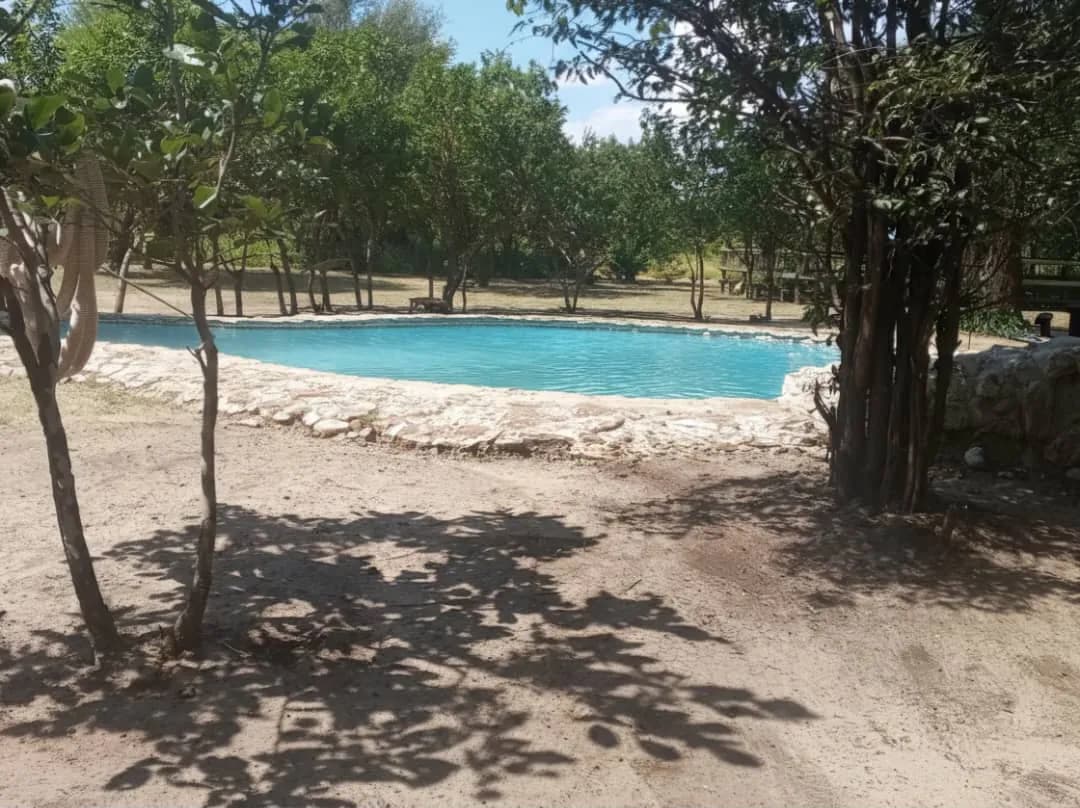 Swimming pool in the shade of the trees