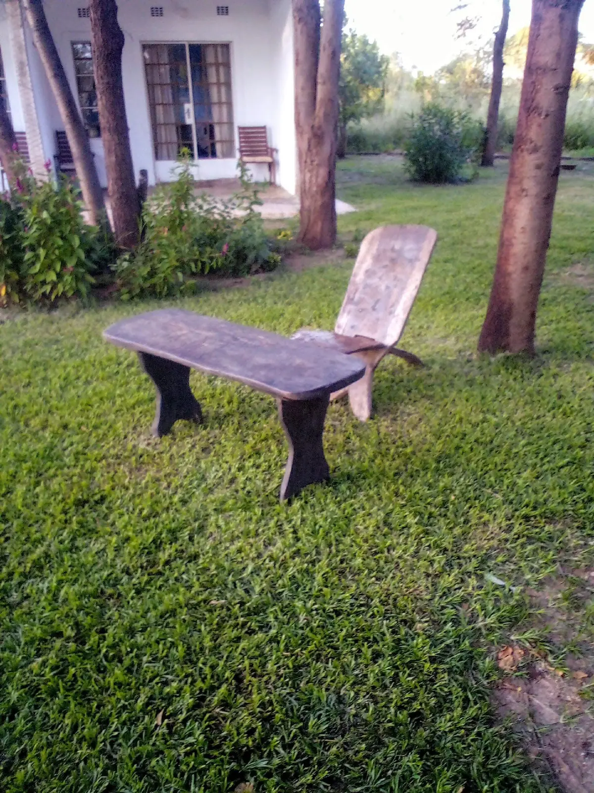 Carved wooden bench on the lawn