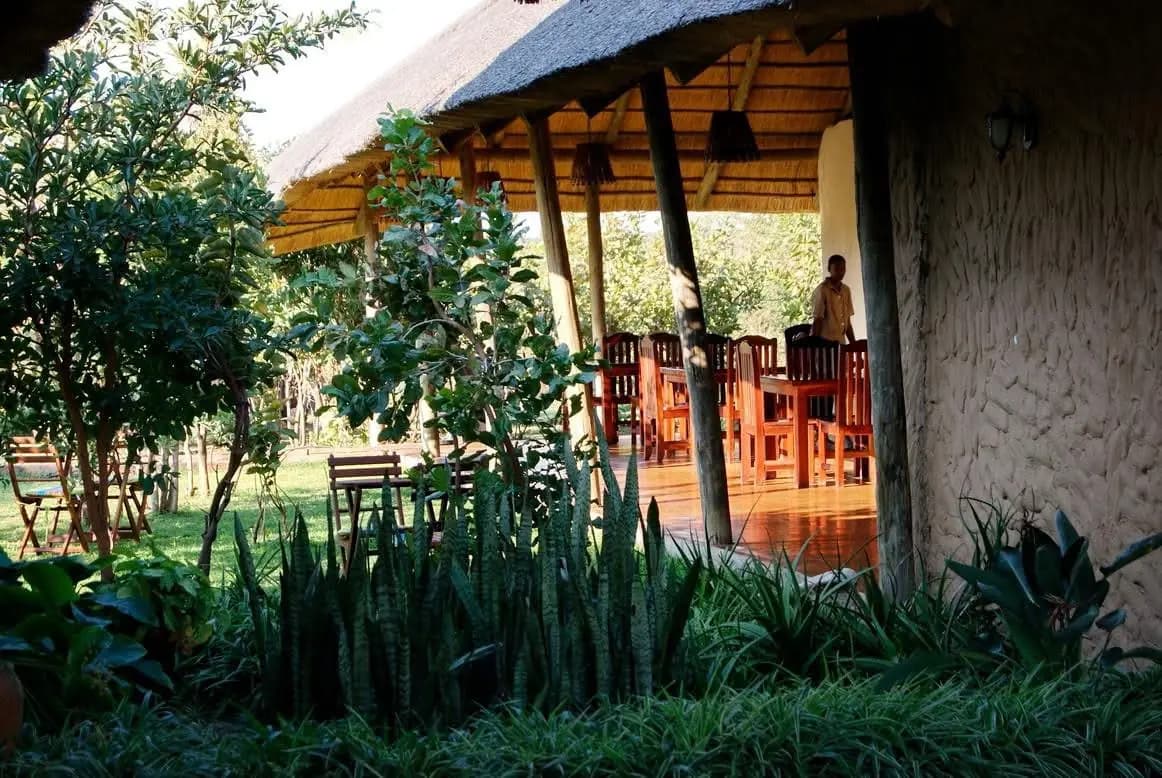 Open-air dining area among the trees