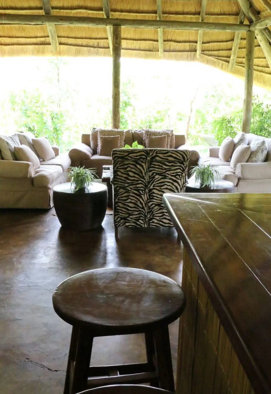 Thatched lounge and bar with a zebra-print chair