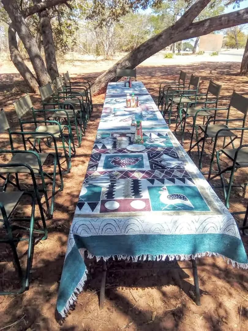 Long table set for lunch under a tree