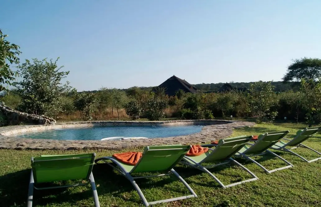 Swimming pool with green sun loungers on the lawn