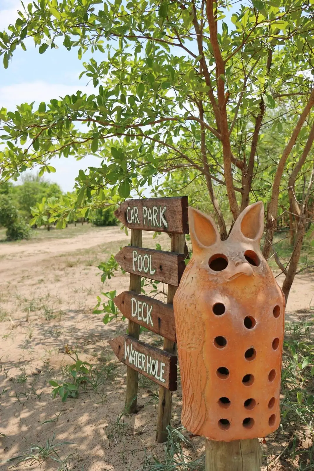 Trail sign to the car park, pool, deck and waterhole beside a clay owl lantern