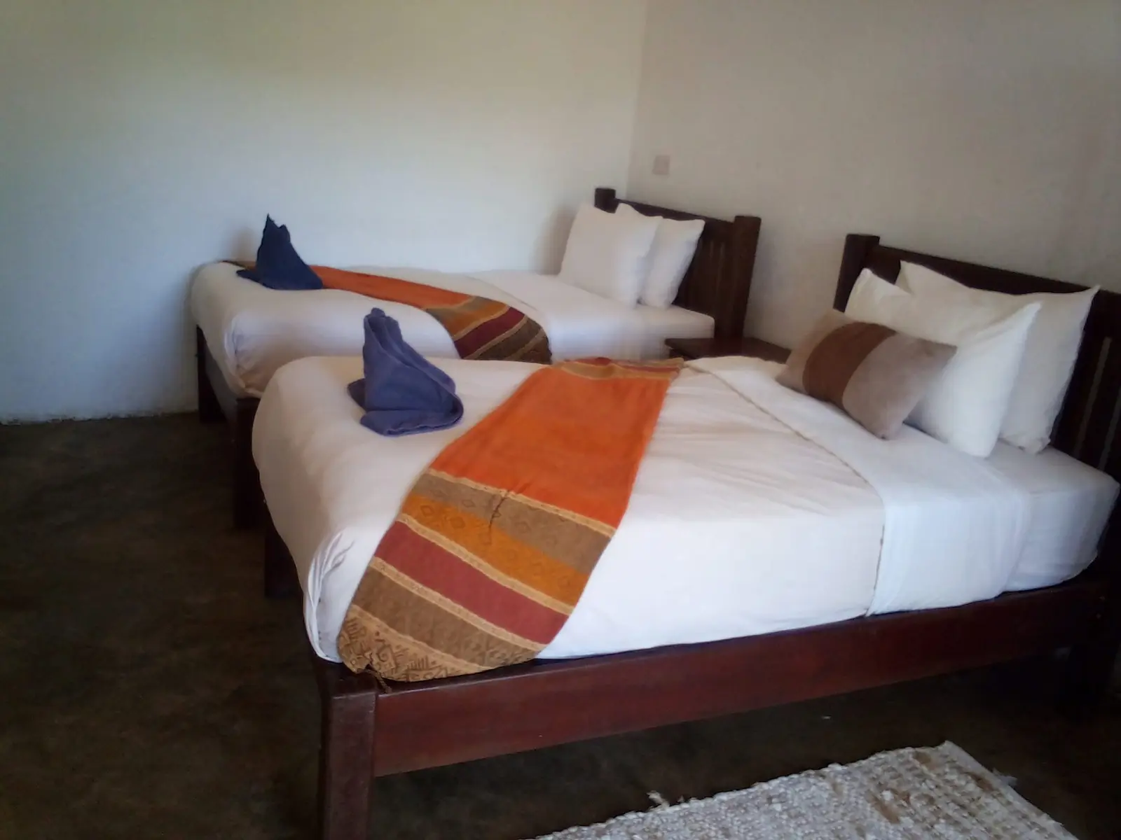 Twin room with towel swans