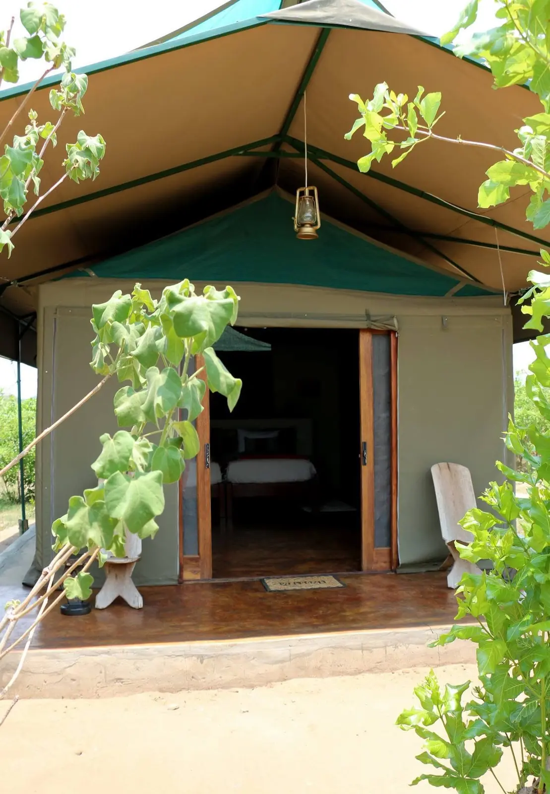 Tented chalet entrance framed by trees