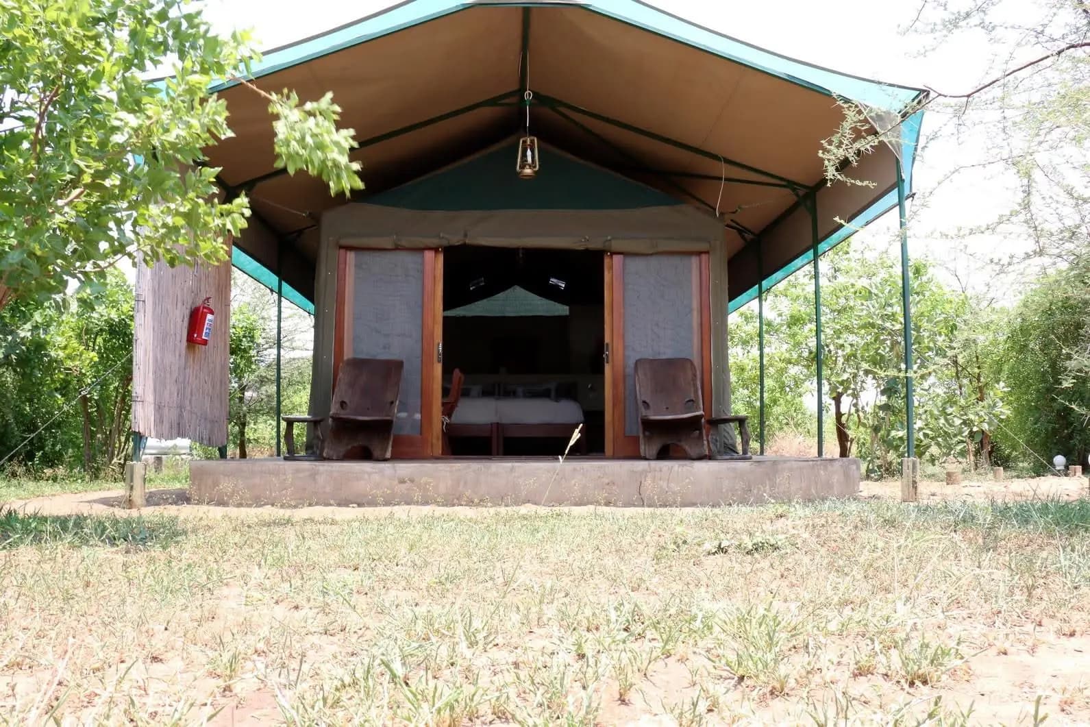 Tented chalet among the trees