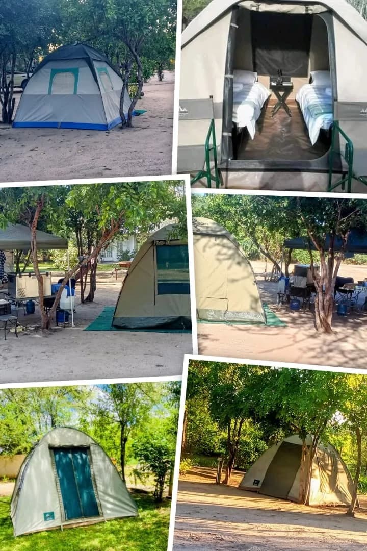 Collage of campsite tents, from dome tents to a canvas tent with two beds