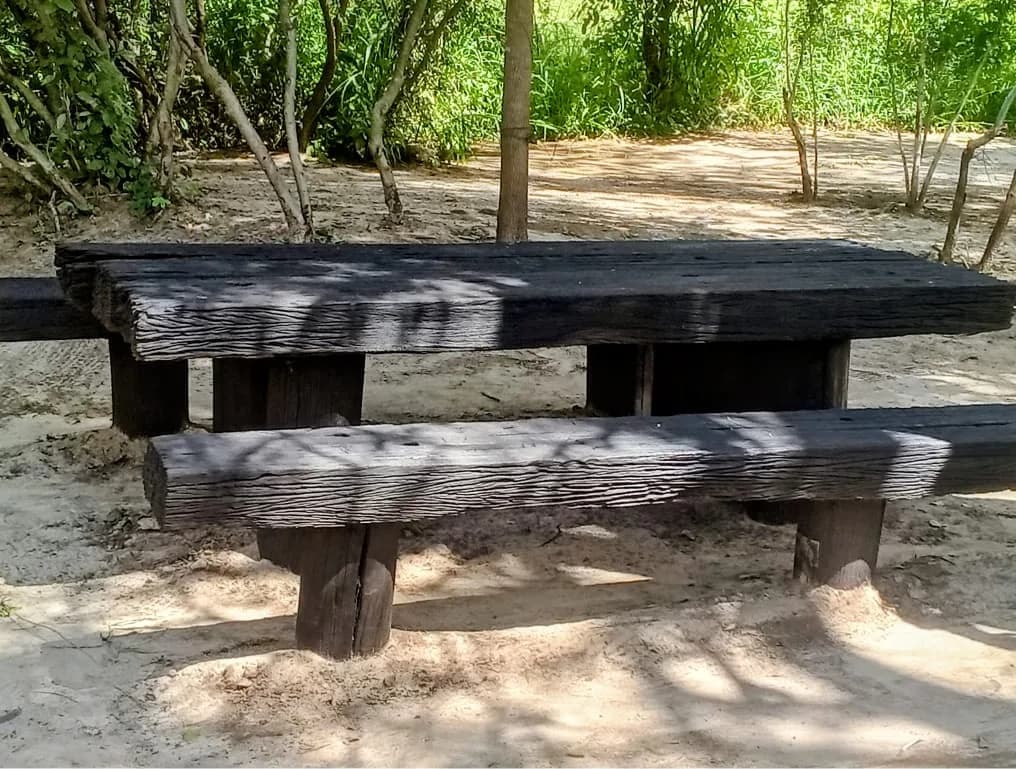 Heavy timber table and benches in the shade on the campsite
