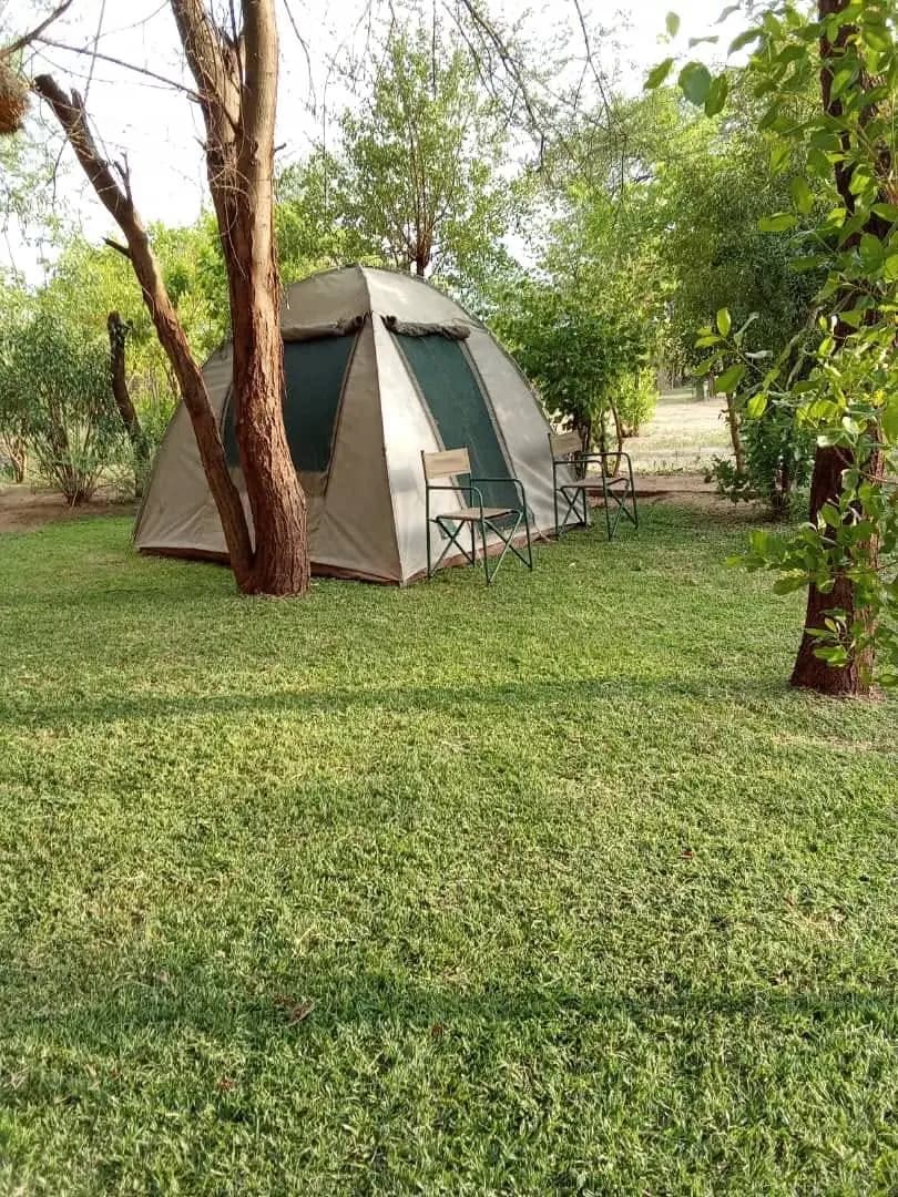 Canvas dome tent on a shaded lawn