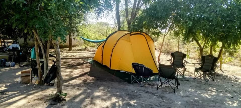 Yellow dome tent pitched in the shade of the campsite trees