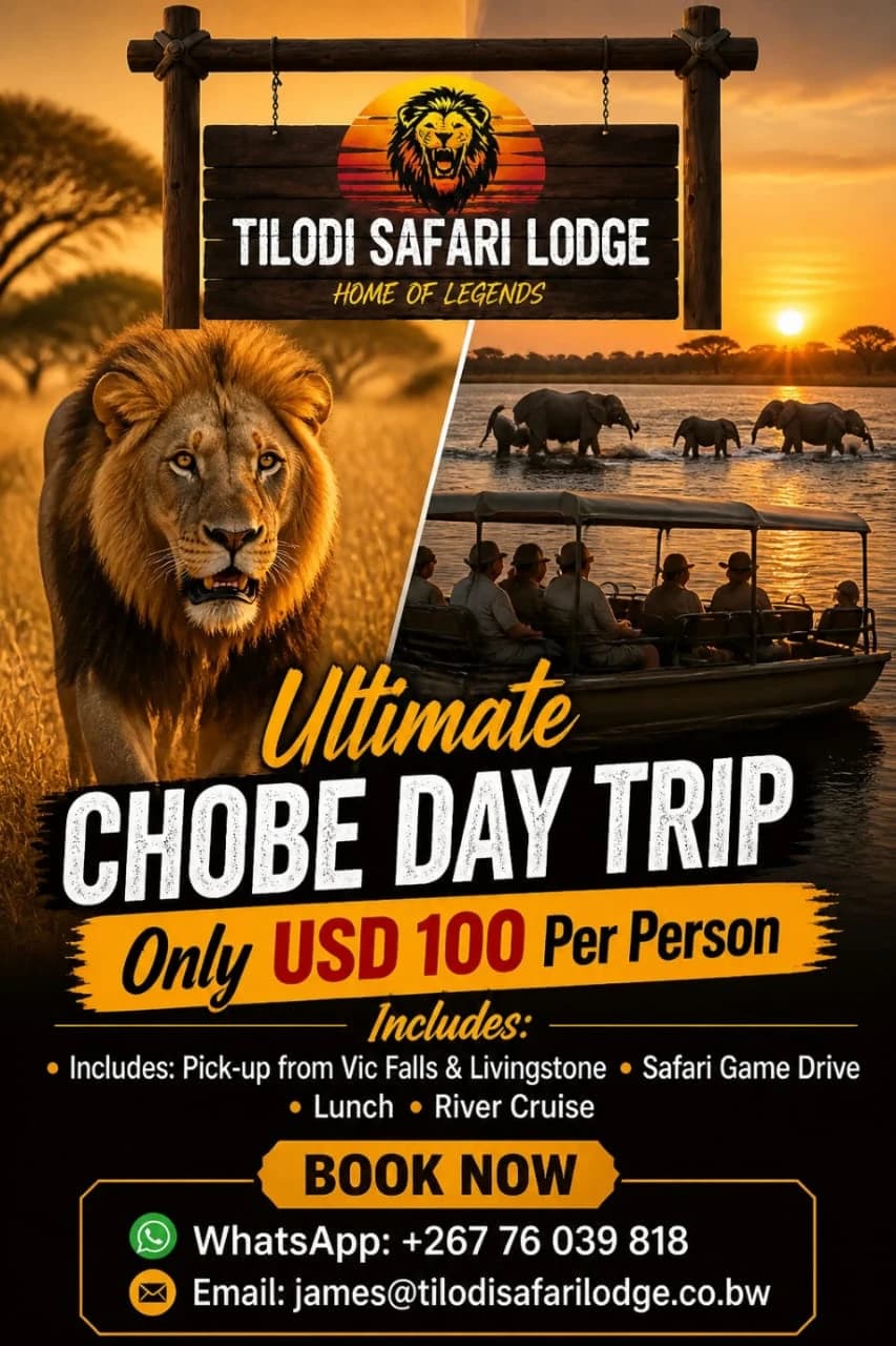 Ultimate Chobe day trip, USD 100 per person poster