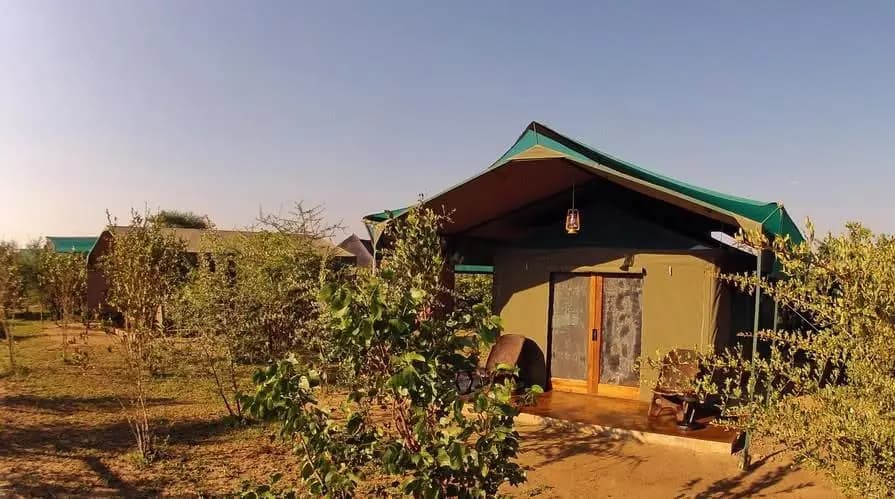 Tented chalet in the evening light